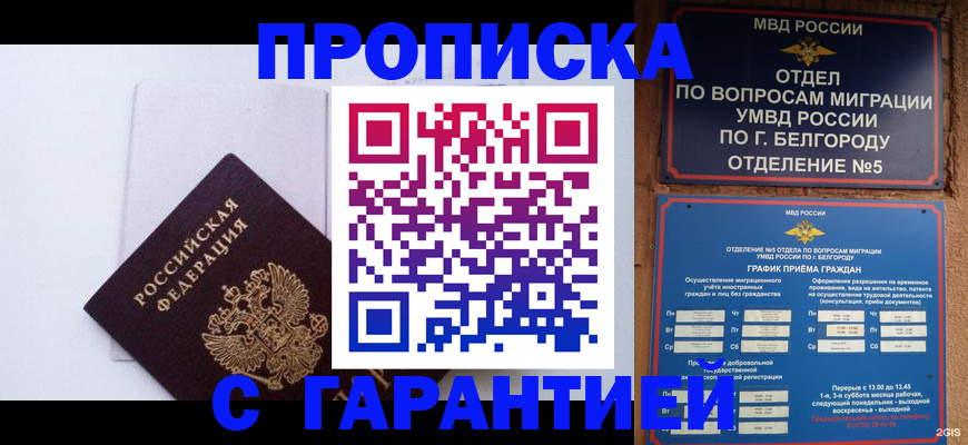 временная регистрация надежно в Болотном